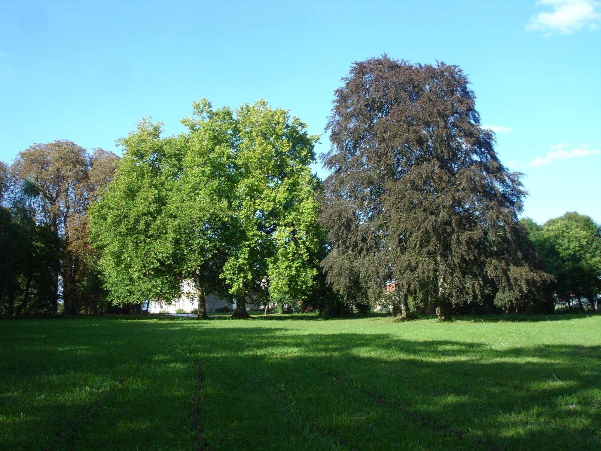 Maison D'Hotes Le Chateau De Puxe Eksteriør bilde